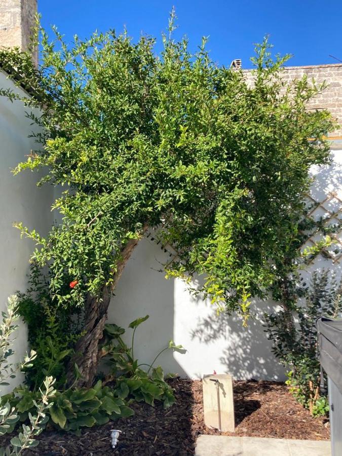 Il Palmento B&B Palmariggi 外观 照片
